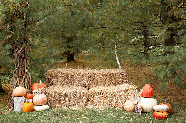 Restored pick-up truck decorated for fall on a New England farm.