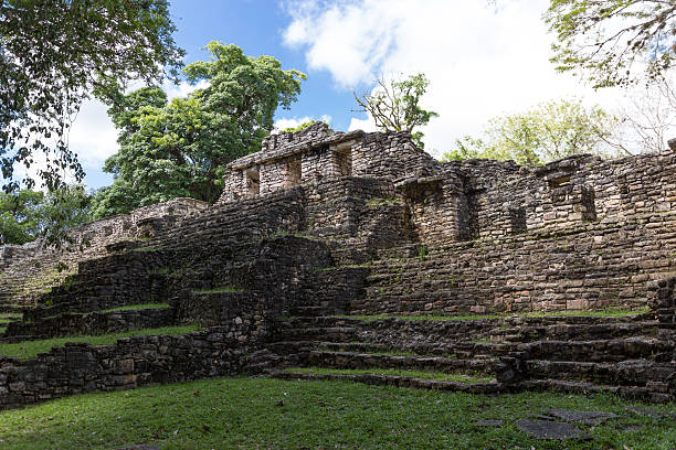 istock Old mayan palace ruins at Yaxchilan 492967976