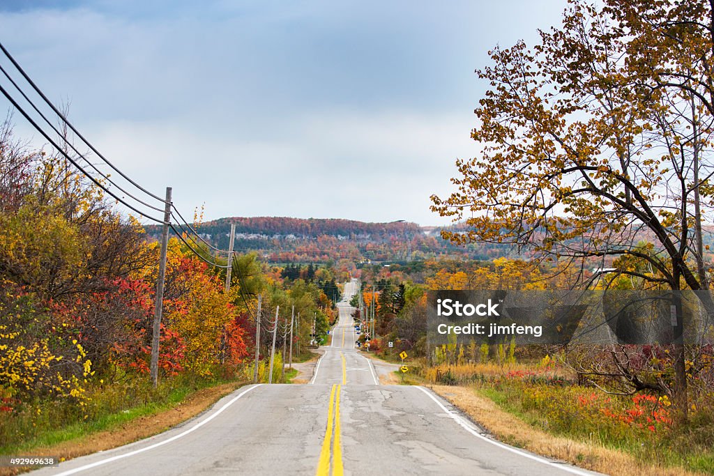 road in fall Undulating road in fall Milton - Ontario Stock Photo