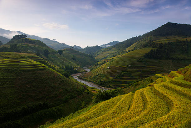 istock Rice fields on terraced at Mu Cang Chai Vietnam. 492970302