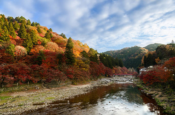 istock Colorful Autumn Leaf and River with blue sky 492970764
