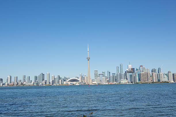 istock Toronto cityscape in Summer 492971120