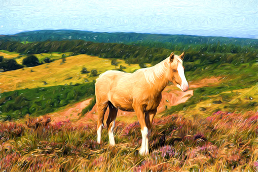 Beautiful blonde pony with a white nose on an English hillside with purple heather