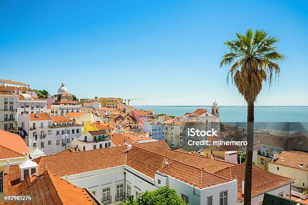 Alfama In Der Innenstadt Von Lissabon Stockfoto und mehr Bilder von Lissabon - Lissabon, Alfama, Palme