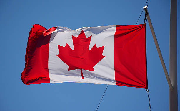 istock Canadian Flag in the wind 492981534