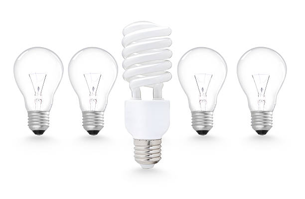 istock Incandescent and fluorescent energy efficiency light bulbs on wh 492981574