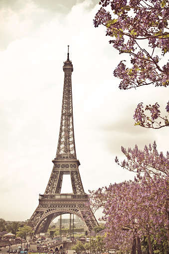 Eiffel Tower,Paris (Vintage color)