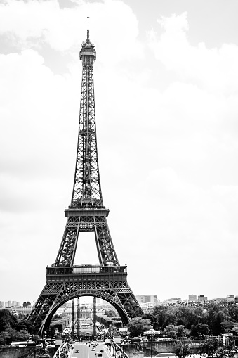 Eiffel Tower,Paris (vintage color)