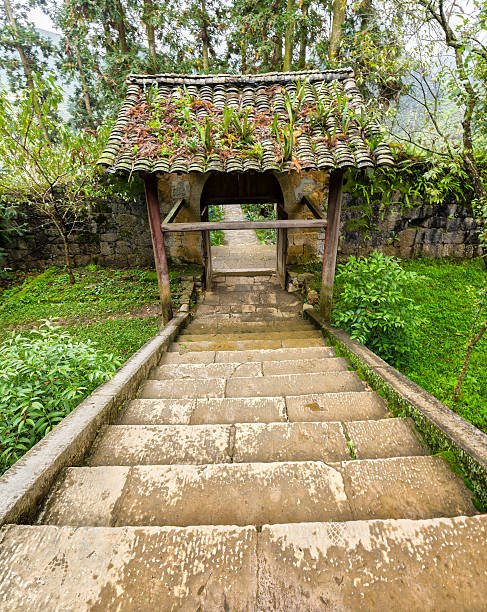 istock Steps leading to the ancient gate ancient beautiful architecture moss 492984734