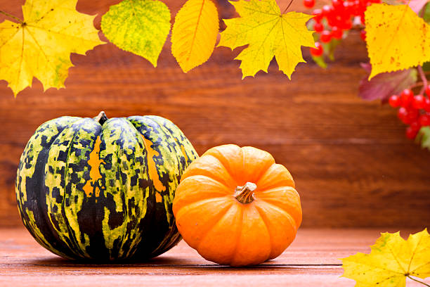 istock pumpkin fruits at autumn 492986830