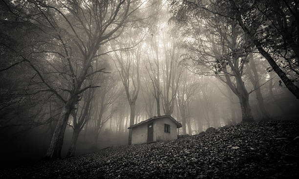 istock Ghost house in the misty forest 492987988