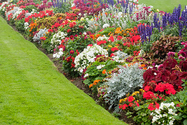 Beautiful landscaping including lawn and beautiful multicolored flowerbed. 