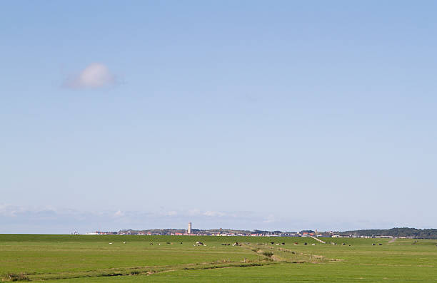 istock Lighthouse The Brandaris on Terschelling (the Netherlands) 492988360