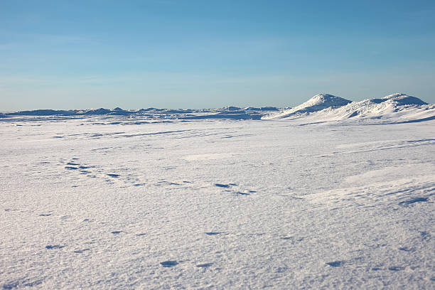 istock Snow desert and blue winter sky. Mountains on the horizon 492988694