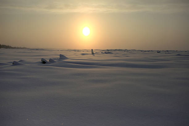 istock Sunrise over a foggy winter  snow desert 492988840