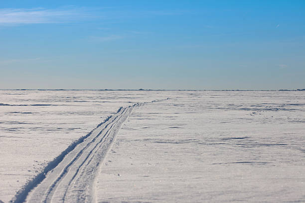 istock The road to the horizon in snowy wilderness 492988844