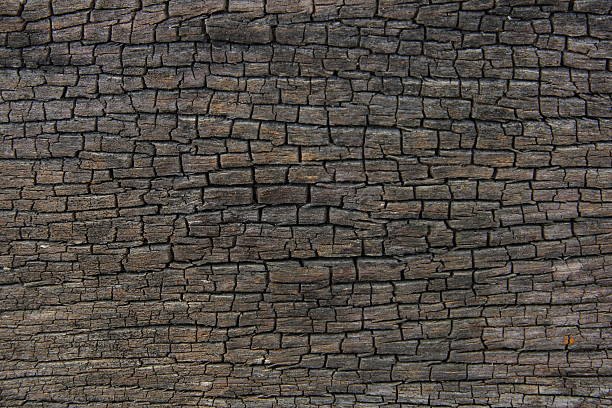 istock Cracked of old wood 492989012