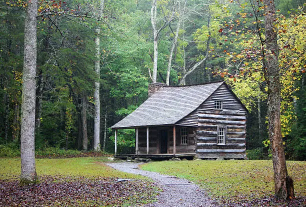 An 1800's log cabin deep in the woods. 