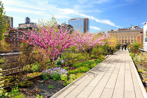 primavera no alto linha na cidade de nova iorque - chelsea new york imagens e fotografias de stock