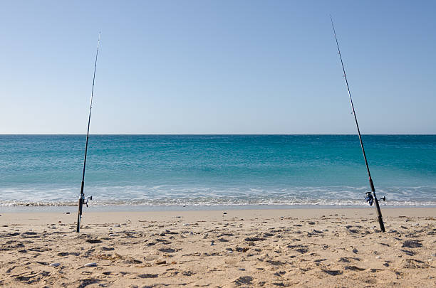 istock Two fishings rods at the beach 492990964