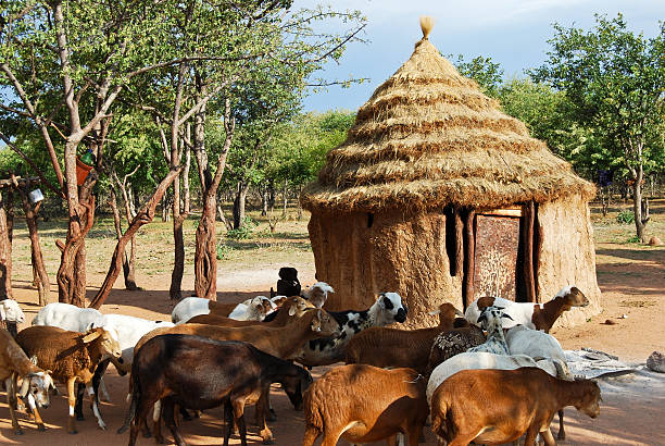 donne con capanne villaggio tradizionale in namibia, africa - africa south africa child african culture foto e immagini stock