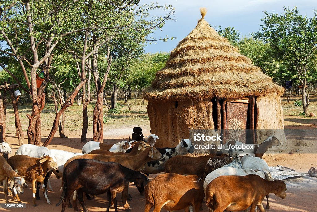 Himba village with traditional huts in Namibia, Africa Himba village with traditional huts near Etosha National Park in Namibia, Africa Somalia Stock Photo