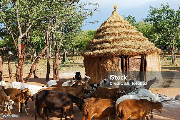 Himba Village With Traditional Huts In Namibia Africa Stock Photo - Download Image Now