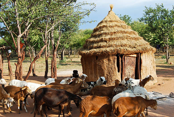 aldeia com tradicional huts himba, namíbia, áfrica - africa child ethiopian culture people imagens e fotografias de stock