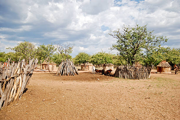 aldeia com tradicional huts himba, namíbia, áfrica - africa south africa child african culture imagens e fotografias de stock