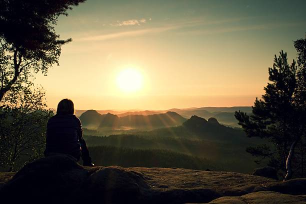 istock Young Woman hiker takes rest bellow tree on Mountain 492992048