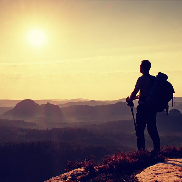 istock Tall backpacker with poles in hand. Sunny daybreak in mountains. 492992452