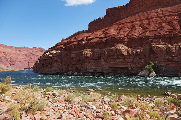 istock The Colorado River in the desert 492992700