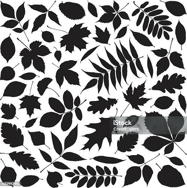 Leaves Stock Illustration - Download Image Now - Leaf, In Silhouette, Autumn