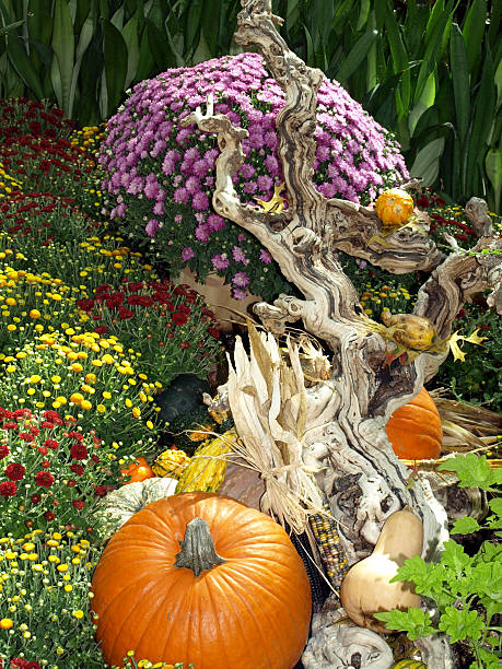 istock Pumpkin and Flowers 492994818