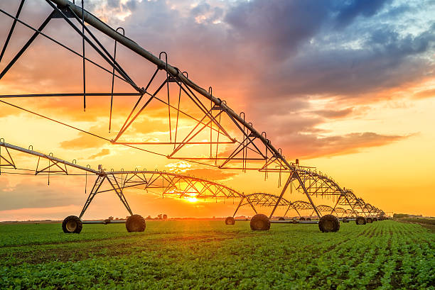 istock Automated farming irrigation system in sunset 492996512