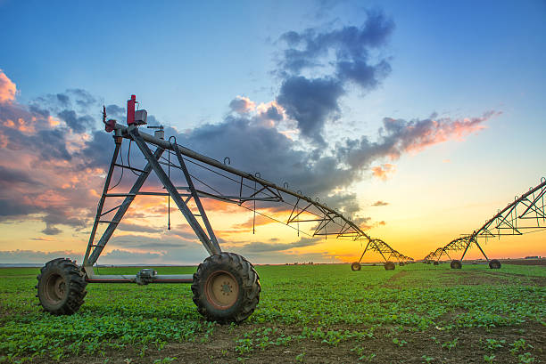 istock Automated farming irrigation system in sunset 492996552