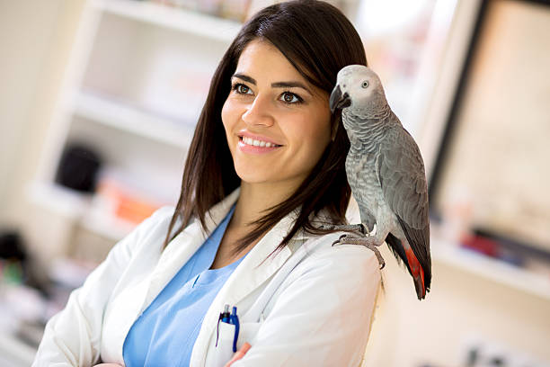 istock Veterinarian with parrot on her shoulder 493020188