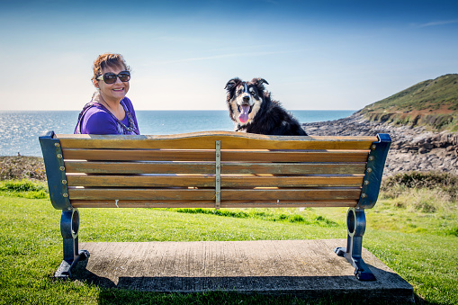 Mature hispanic senior relaxing on bench with border collie dog