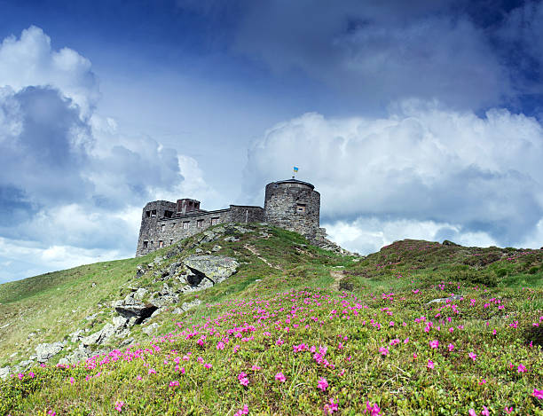 istock Ruins of astronomical observatory called White Elephant in Czarn 493020788