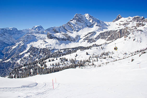 istock Winter holiday house 493021360