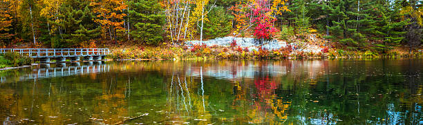 istock View of a Lake during Autumn Season 493021370