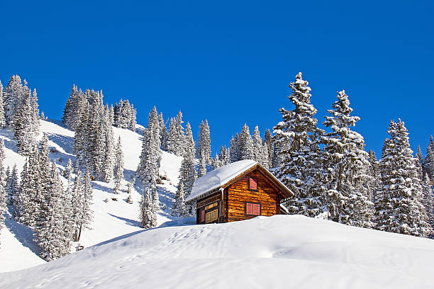 istock Winter holiday house 493021618
