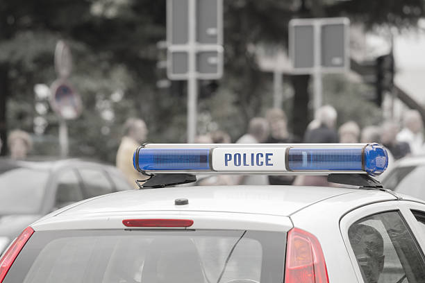 istock Cops gone wild with the siren. 493022968