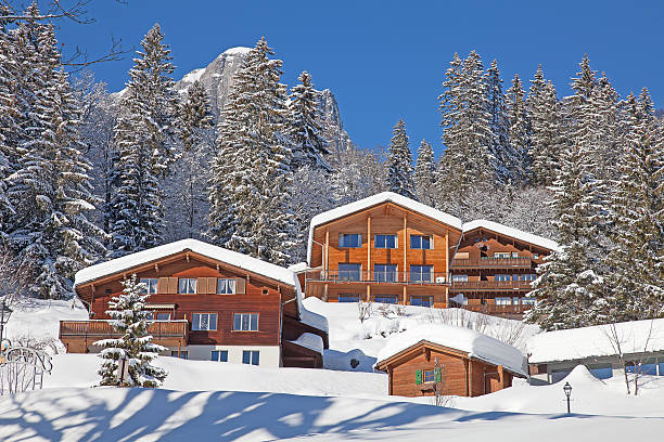 istock Winter holiday house 493025990