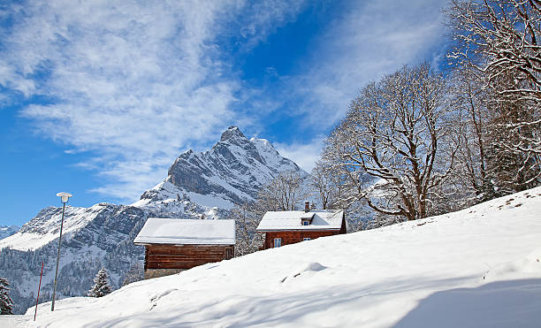 istock Winter holiday house 493026178