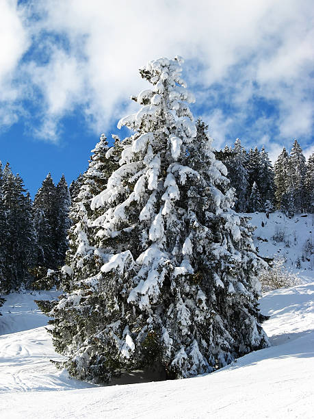 istock Winter holiday house 493026484