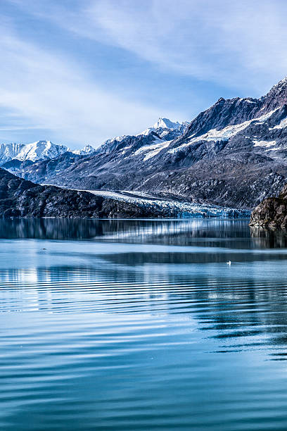 グレーシャーベイ国立公園と自然保護区、アラスカ - glacier bay national park ストックフォトと画像