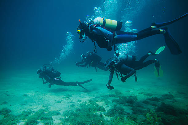 Scuba divers stock photo