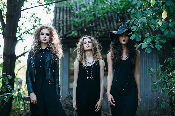 istock Three vintage witch go to the Sabbat 493029076
