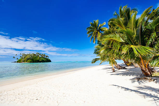 hermosa playa tropical exótico isla del pacífico - south pacific ocean island polynesia tropical climate fotografías e imágenes de stock